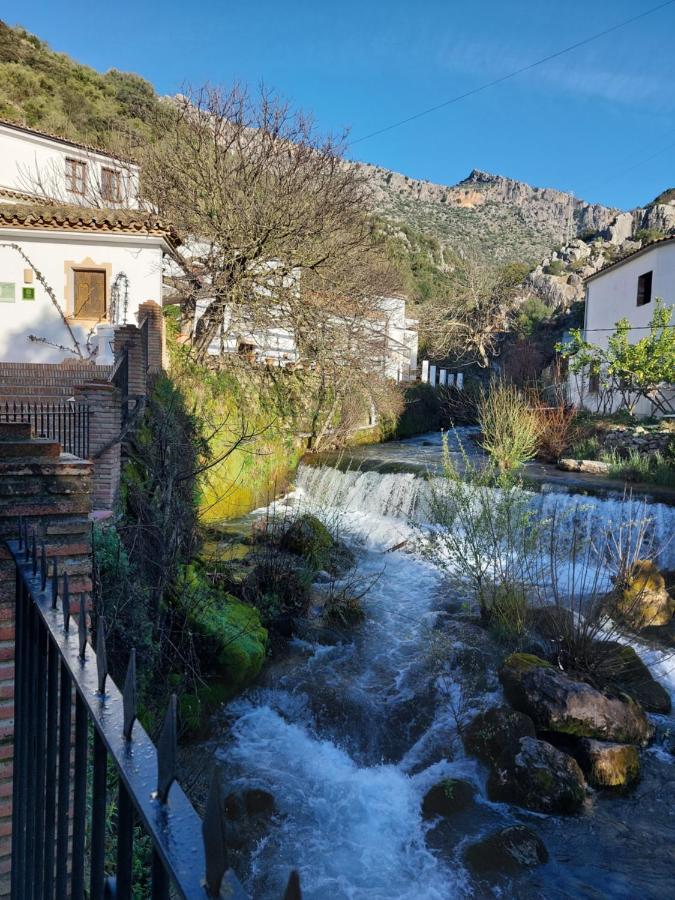 Molino Del Santo Otel Benaoján Dış mekan fotoğraf